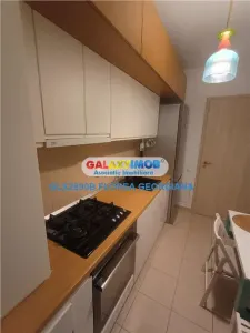 Inchiriere apartament 2 camere  parter gradina Baneasa Greenfield - foto 11