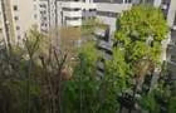 Apartament 2 camere București - poza 1