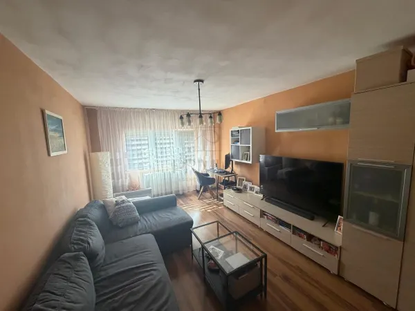 Apartament 2 camere Timișoara - poza 2