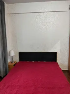 Apartament 2 camere Iași - poza 3
