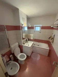 Apartament 2 camere Timișoara - poza 5