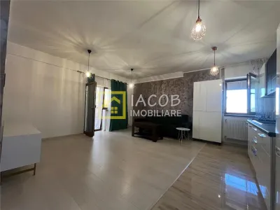 Apartament Gradin cu Magnolii Gheraiesti Bacau - foto 13