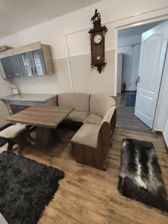Apartament 2 camere Timișoara - poza 1