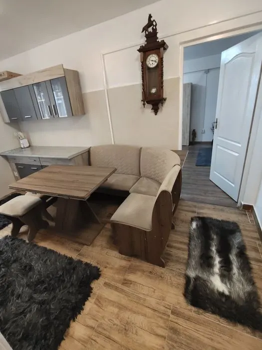 Apartament 2 camere Timișoara - poza 1