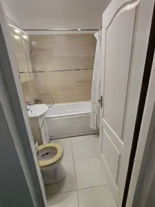 Apartament 2 camere Timișoara - poza 5