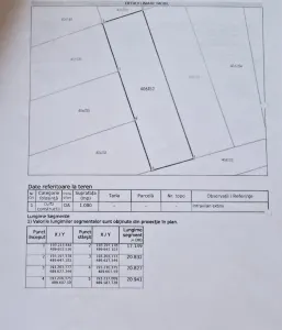 TEREN INTRAVILAN DE VÂNZARE – BECHERECU MIC - Becicherecu Mic