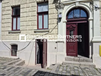 Spatiu 100 mp cu autorizatie bar in Piata Muzeului - foto 5