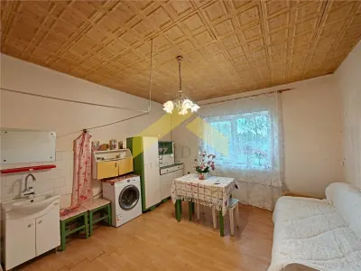 Casă 5 camere Livada - poza 3
