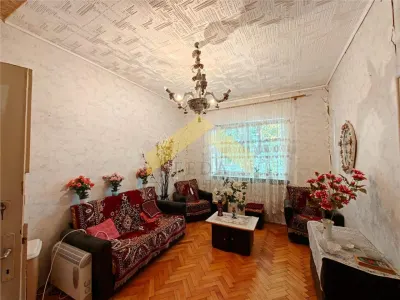 Casă 5 camere Livada - poza 4
