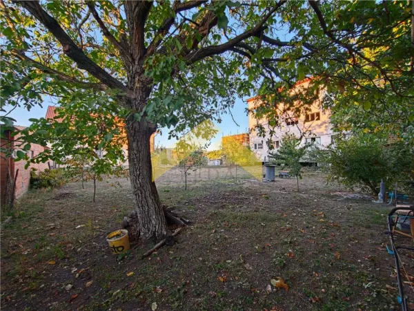 Casă 5 camere Livada - poza 5