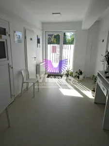 Spatiu comercial | Activitati medicale si beauty | Turnisor | Sibiu - foto 5