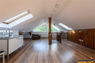 Vila exclusivista Sacele, 4 minute de Brasov, 385 mp utili, 630 mp teren, 3 zone de locuit, garaj, intimitate si panorama verde. - foto 27