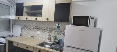 Apartament 2 Camere Semidecomandat Nitu Vasile PET friendly - foto 2