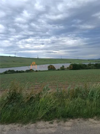 Teren Valea Lunga - poza 1