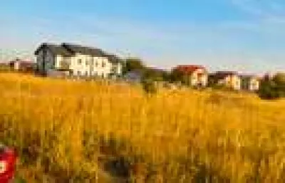 Ocazie,propietar lot 651 mp+servitute Str.Ciocirliei stradal - Ilfov