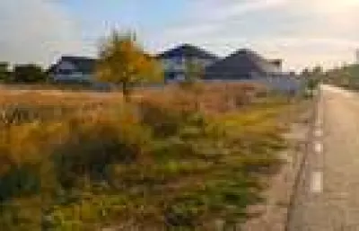 Ocazie,propietar lot 651 mp+servitute Str.Ciocirliei stradal - foto 3