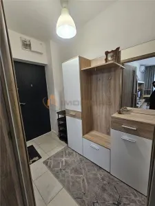Apartament 1 camera zona Gradinari - Metalurgie-Tatarasi - foto 5