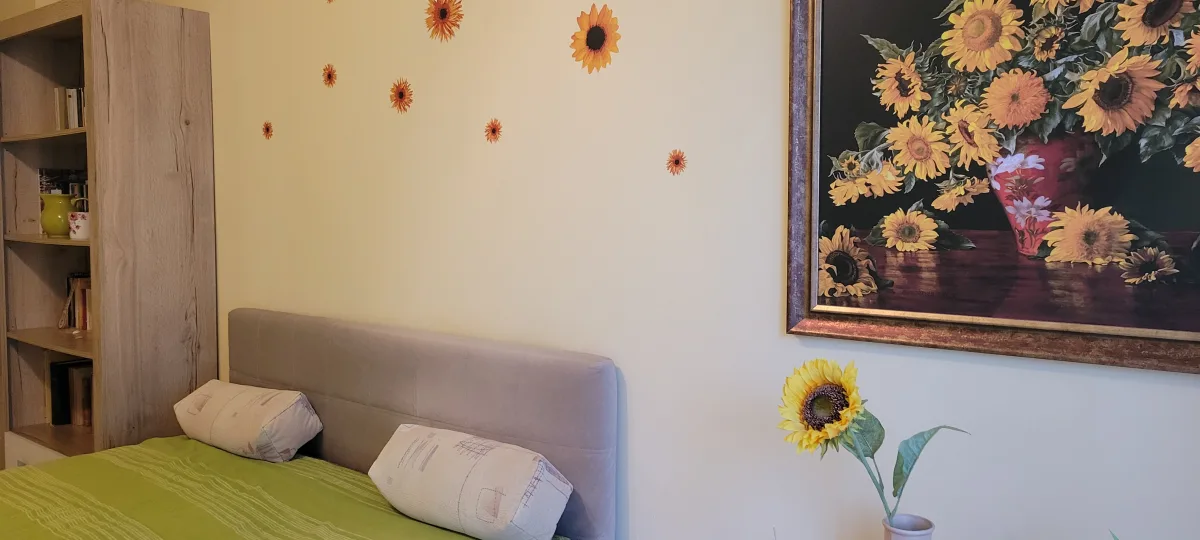 Apartament 2 camere Cluj-Napoca - poza 5