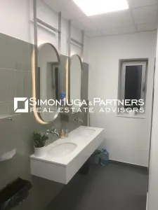 Birouri de inchiriat Brancusi - foto 14