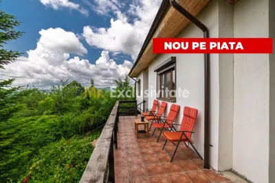 Casa moderna si casa bunicii + 6300 mp teren,Oaza autentica in Corbi Arges- - Corbi