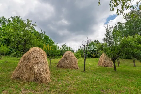 Casă 3 camere Corbi - poza 18
