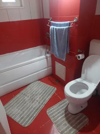 Apartament 2 camere Timișoara - poza 4