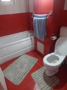 Apartament 2 camere Timișoara - poza 4