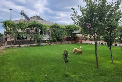 Casă 5 camere Constanța - poza 18