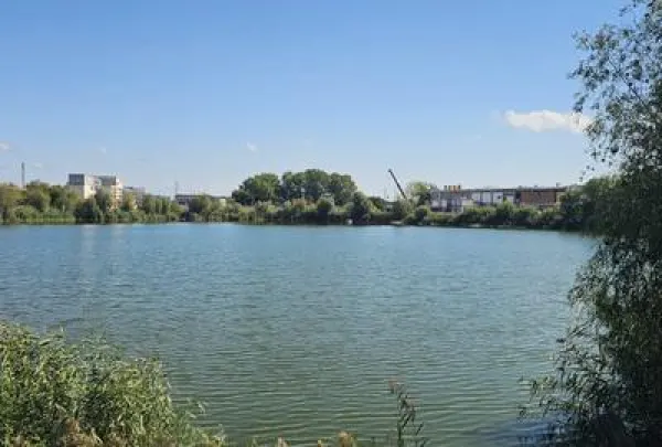 Casă 5 camere Constanța - poza 22