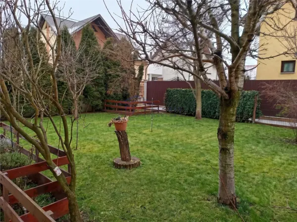 Casă 5 camere Sfântu Ilie - poza 15
