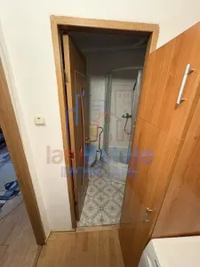 Garsoniera Alexandru cel Bun - Liceul Miron Costin - foto 7