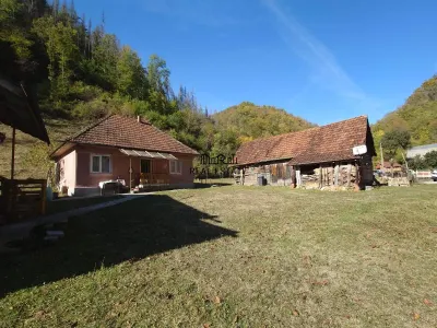 Doua case, teren si padure in Mihaileni - Buces - foto 14