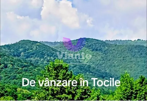 Casă 4 camere Sadu - poza 5