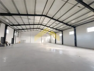 Spațiu industrial Arad - poza 3