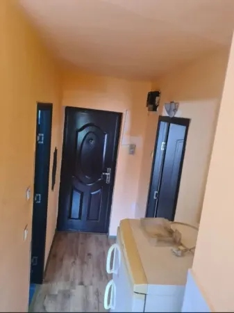 Apartament 1 camera Bacău - poza 1