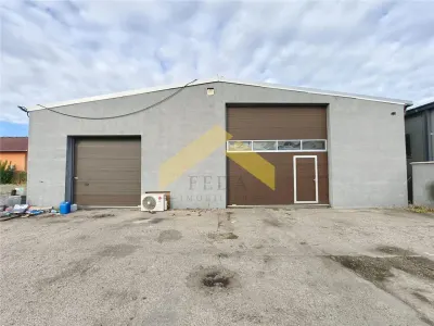 Hala 250 mp de inchiriat in zona industriala Vladimirescu - Vladimirescu