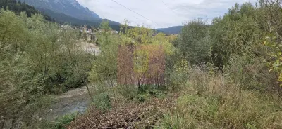 Casă 4 camere Bușteni - poza 19