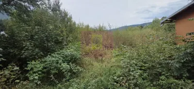 Casă 4 camere Bușteni - poza 28