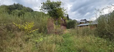 Casă 4 camere Bușteni - poza 5