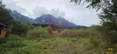 Casă 4 camere Bușteni - poza 7