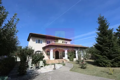 Casă 4 camere Corbeanca - poza 2