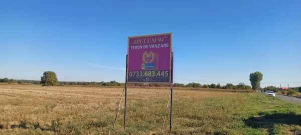 Teren Sabareni - poza 3
