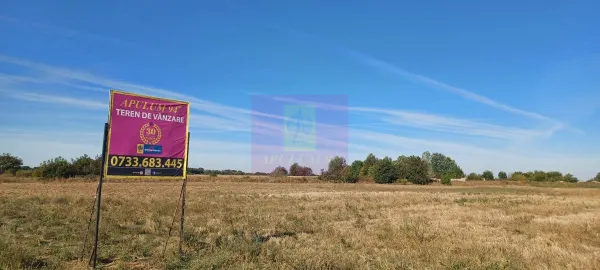 Teren Sabareni - poza 4