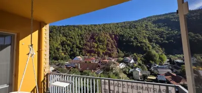 Apartament 2 camere Sinaia - poza 13