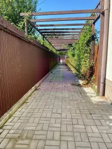 Casă 4 camere Mogoșoaia - poza 25