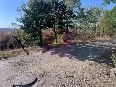 Teren Cornetu Strada Magnoliei- Pinului. - Cornetu
