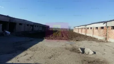 Teren Balotești - poza 2