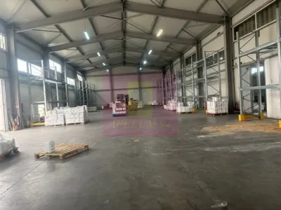 Spațiu industrial Bragadiru - poza 17