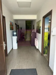 Spațiu industrial Bragadiru - poza 10