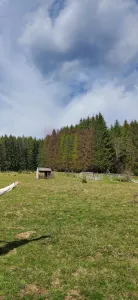 Teren Valea Doftanei - poza 2